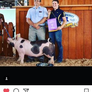 Meet your Posher, Katelyn